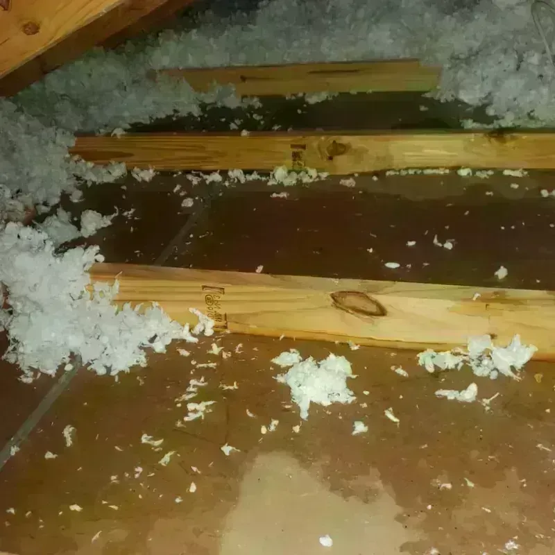 Attic Water Damage in Pierce County, ND