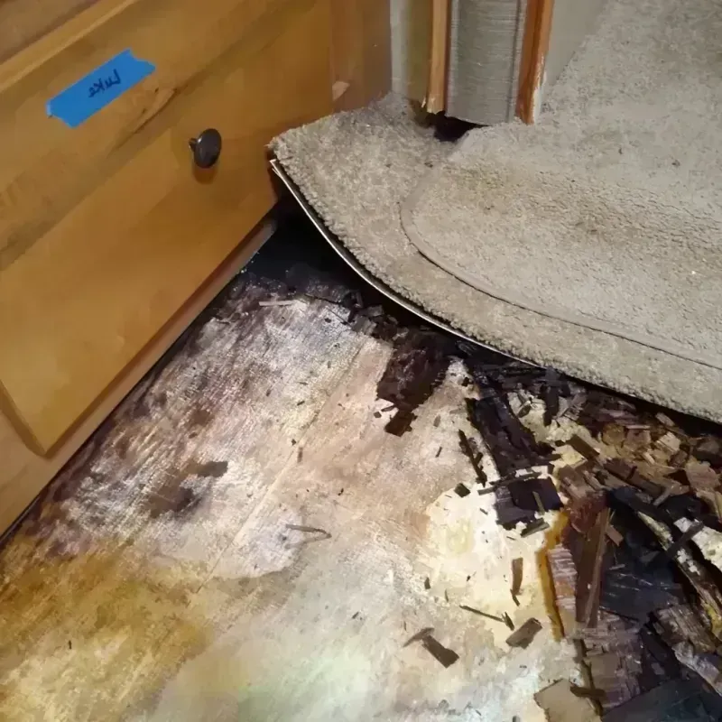 Wood Floor Water Damage in Pierce County, ND